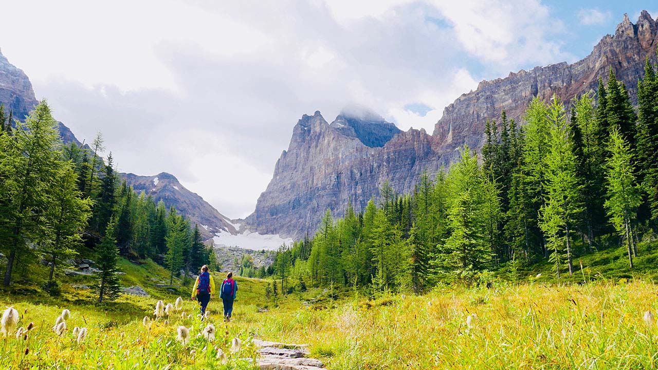 couple hiking